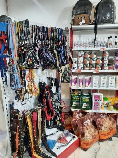 عکس کلینیک دامپزشکی رویال