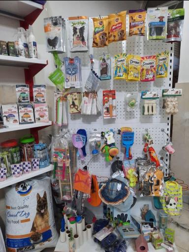 عکس کلینیک دامپزشکی رویال