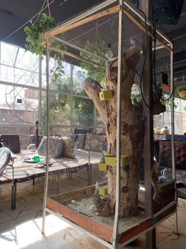 عکس باغ رستوران عمو مرشد