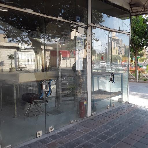 عکس ناتوانی شیاسی