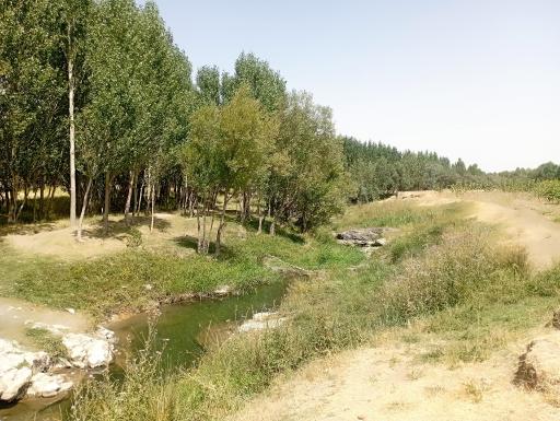عکس روان