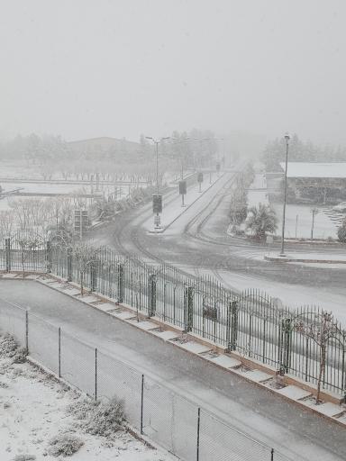 دانشگاه آزاد اسلامی