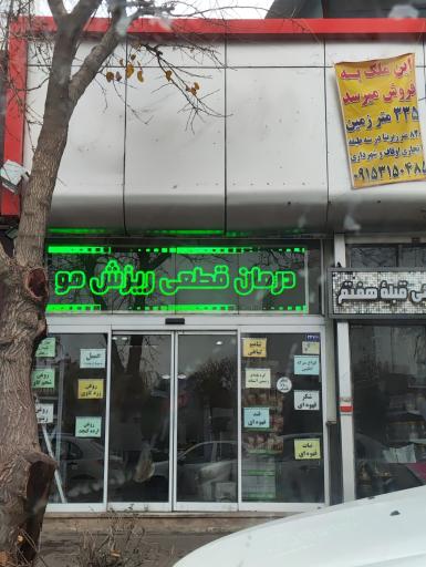عکس گیاهان دارویی قبله هفتم