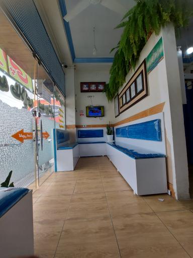 عکس فیزیوتراپی دکتر ابراهیمی 