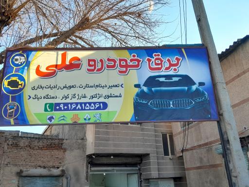 عکس برق خودرو علی