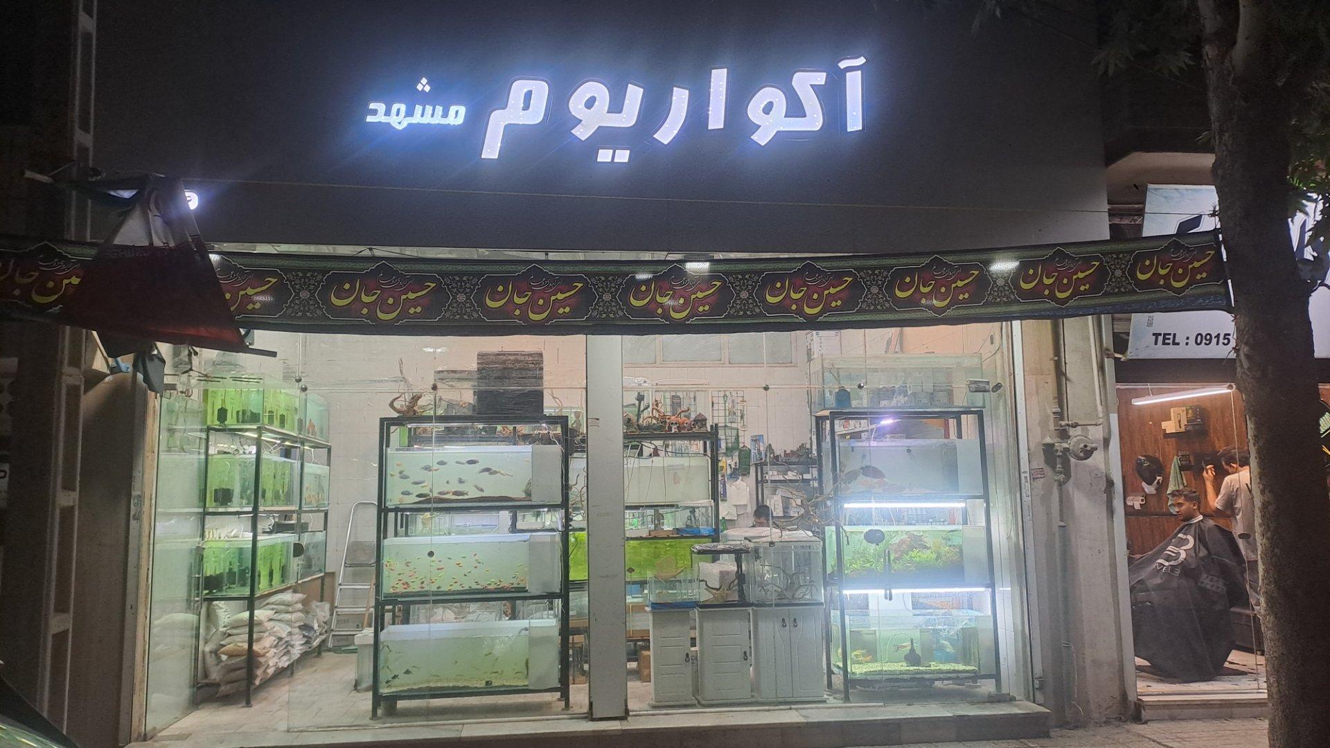 عکس آکواریوم مشهد