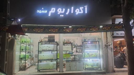 آکواریوم مشهد
