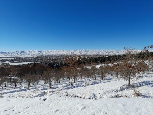 عکس بام ملایر