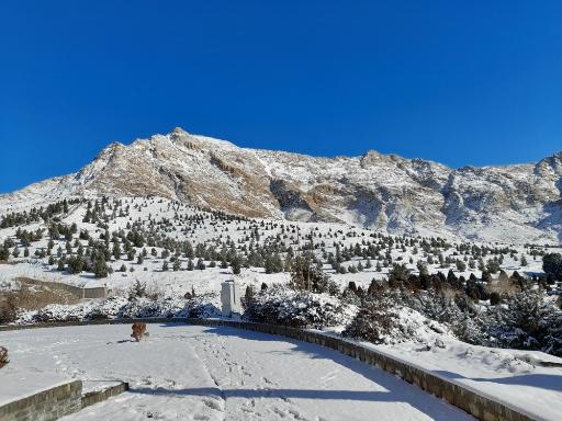 عکس بام ملایر