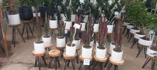 عکس گل فروشی