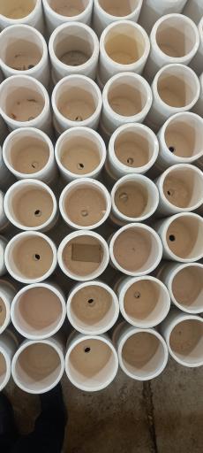 عکس گل فروشی