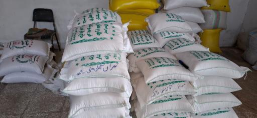 عکس بوجاری برنج باقرامین زاده 