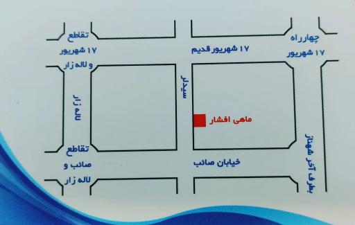 عکس ماهی افشار 