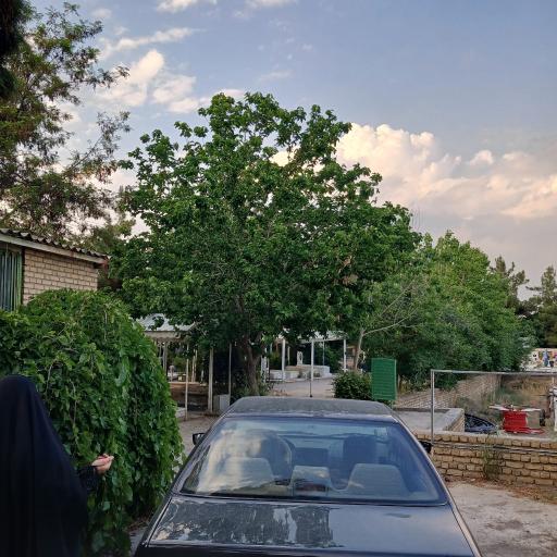 عکس آرامستان گلستان