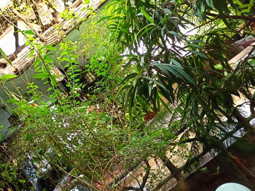 عکس باغچه سنتی آتالار