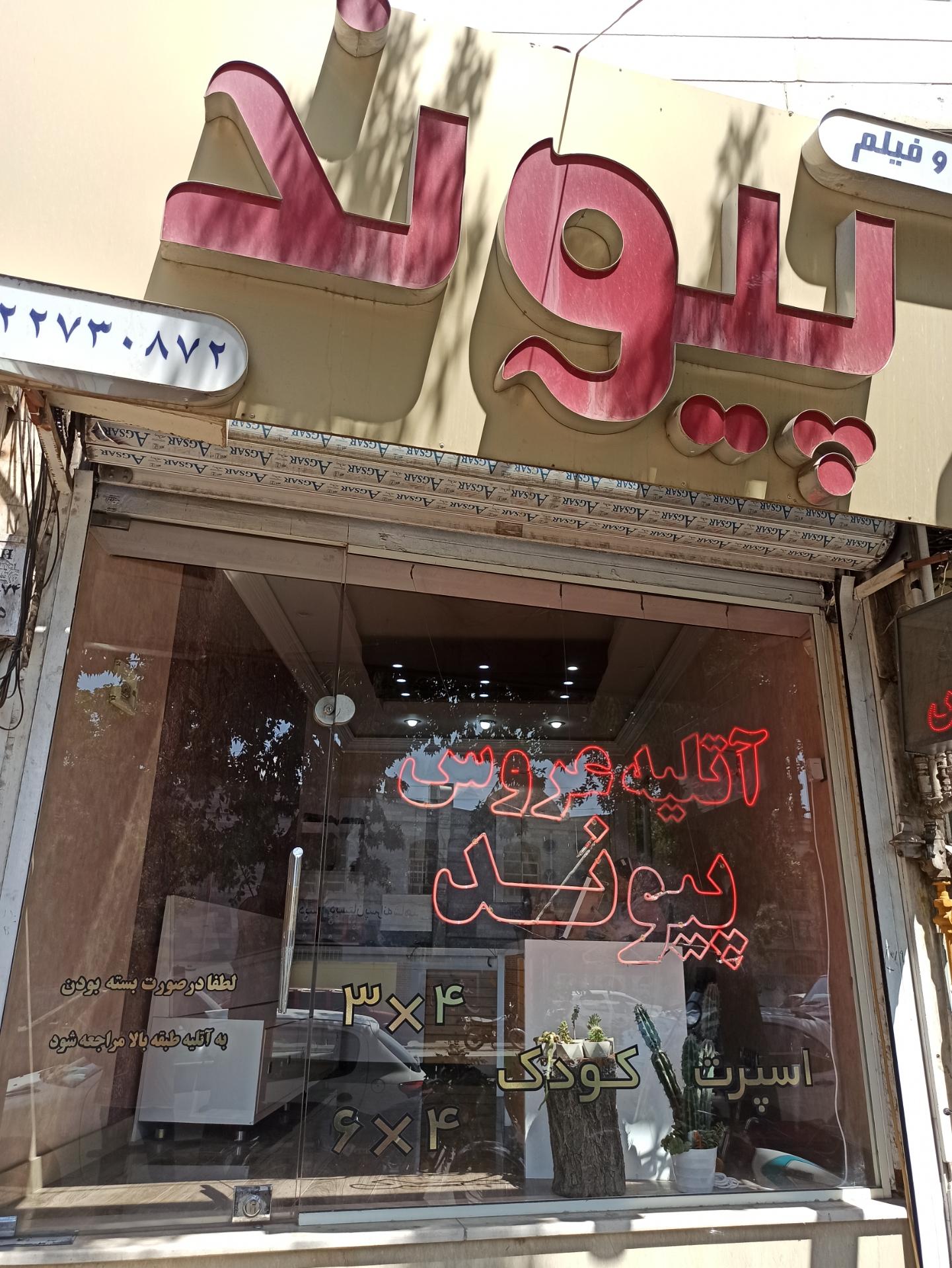 عکس آتلیه پیوند