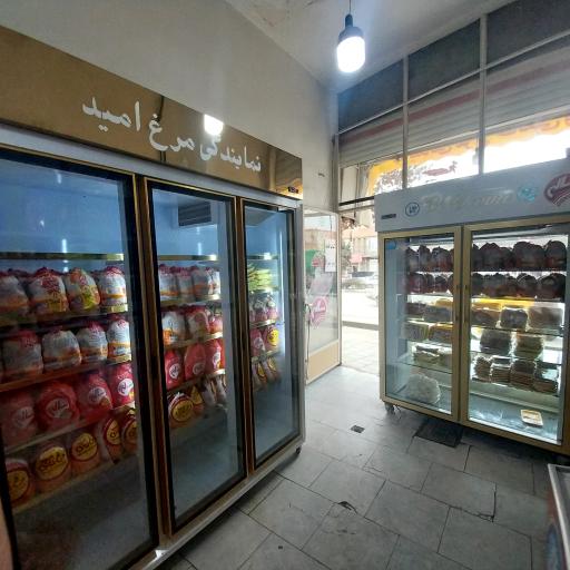 عکس نمایندگی مرغ خوشپخت امید