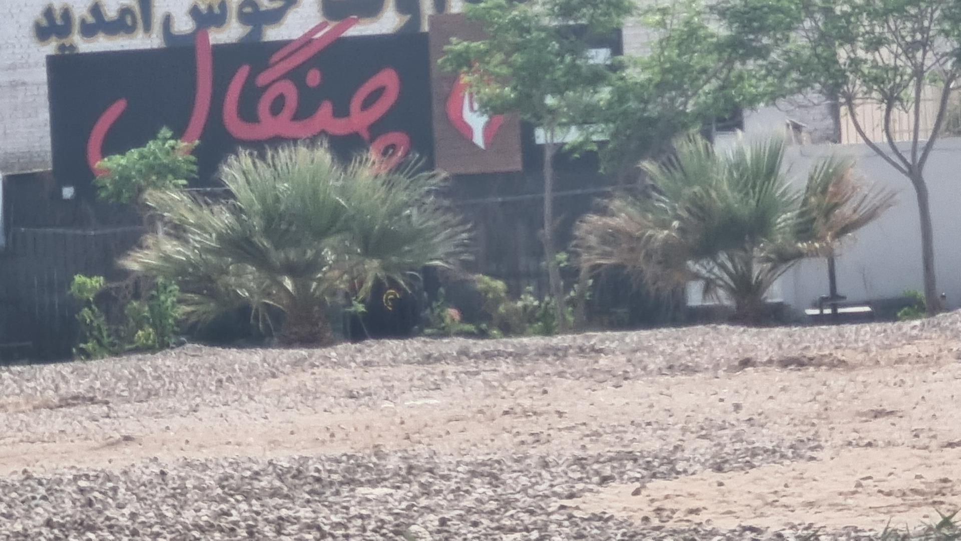 عکس رستوران چنگال