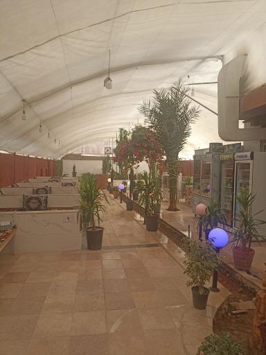 عکس کافه رستوران دلسا