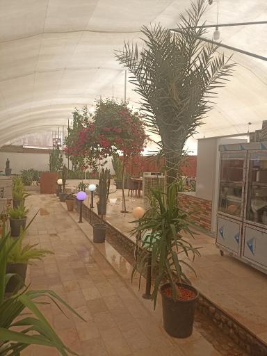 عکس کافه رستوران دلسا