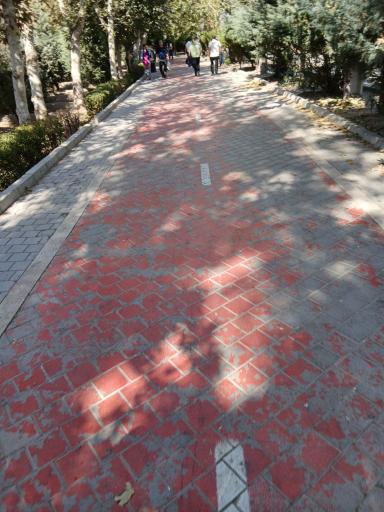 عکس بوستان بانوان نرگس