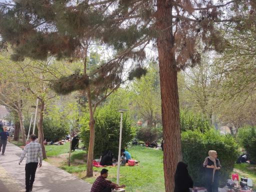 عکس پارک ساحلی درچه