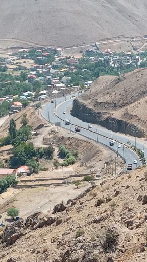 عکس بوستان نسترن