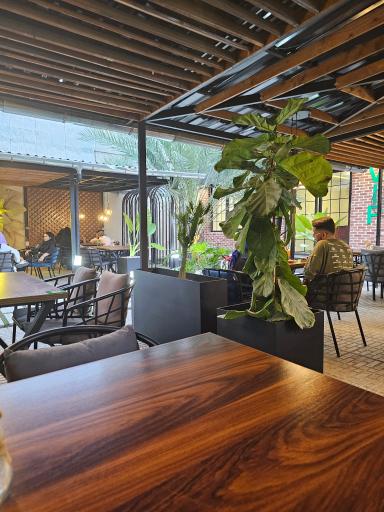 عکس کافه کاکتوس 