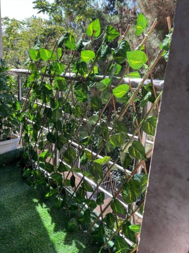 عکس گروه معماری و دکوراسیون داخلی سایکو دیزاین 