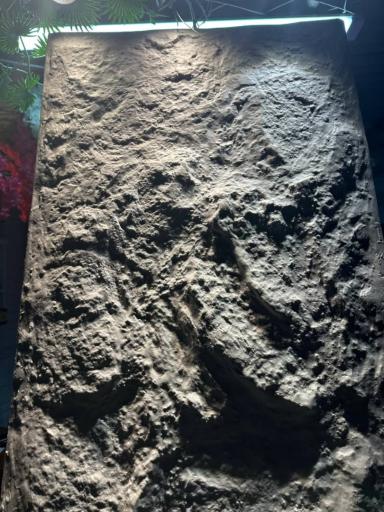 عکس گروه معماری و دکوراسیون داخلی سایکو دیزاین 