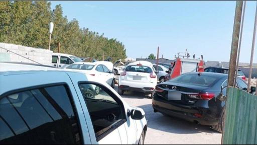 عکس تاپ اسپید 