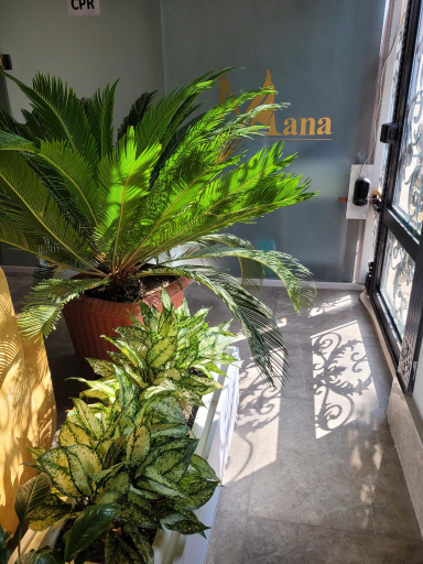 عکس کلینیک تخصصی پوست و مو مانا دکتر نوری