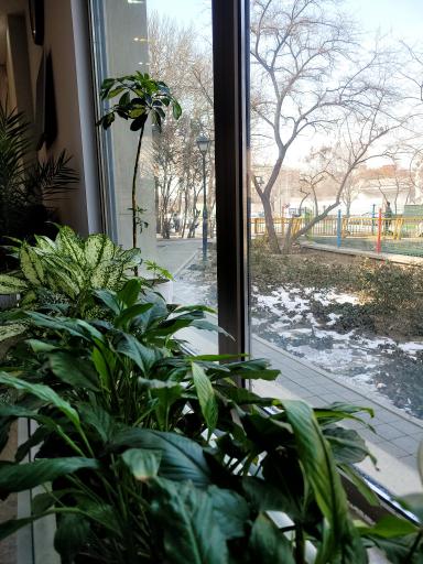 عکس کلینیک تخصصی پوست و مو مانا دکتر نوری