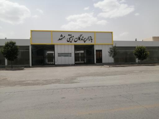 عکس بازار پرندگان زینتی مشهد 