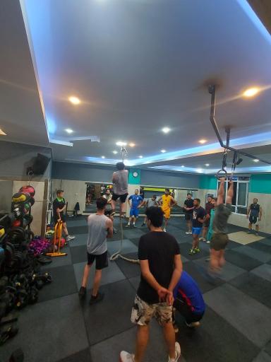 عکس باشگاه ورزشی آرتا