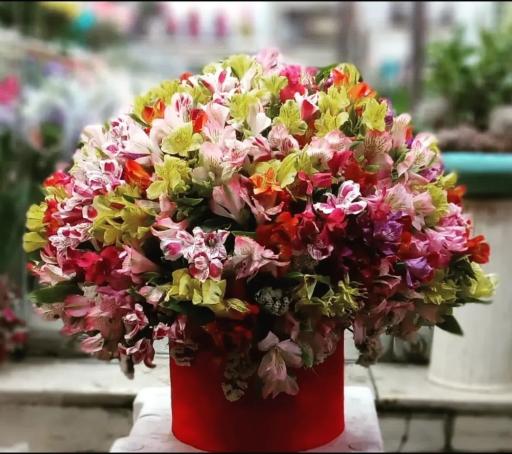 عکس گل فروشی آزالیا