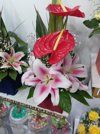 عکس گل فروشی آزالیا