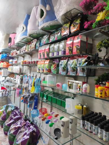 عکس پت شاپ آریا