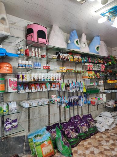 عکس پت شاپ آریا