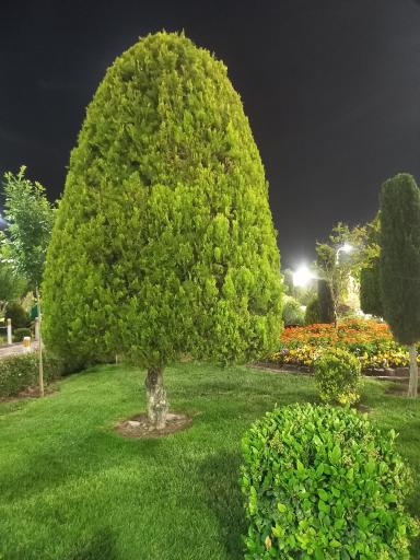 عکس باغ رضوان