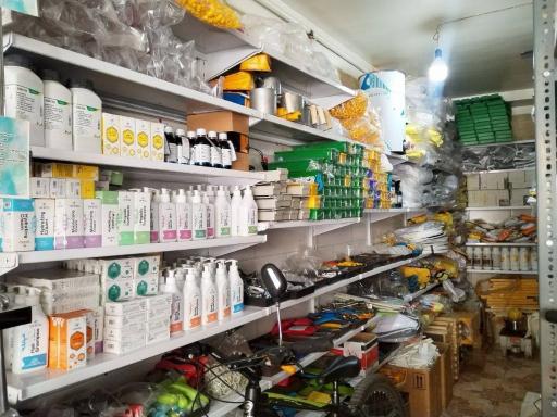 عکس خدمات زنبورداری و عسل هانی هایو البرز