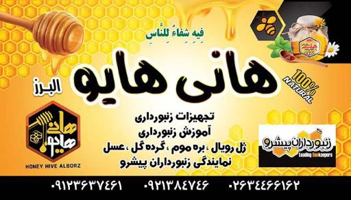 عکس خدمات زنبورداری و عسل هانی هایو البرز