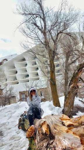 عکس مجتمع گل یخ