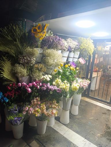 عکس گل لب خند