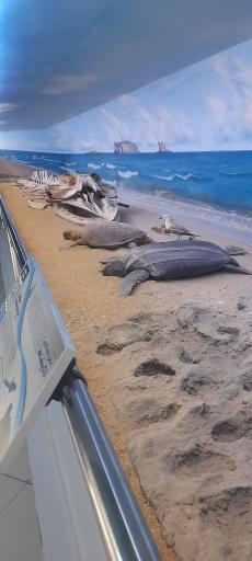 عکس موزه ژئوپارک