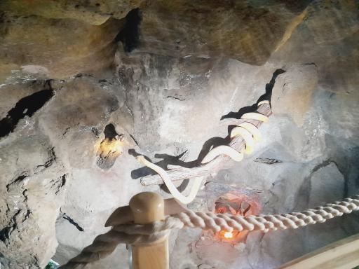 عکس غار آکواریوم گنجنامه