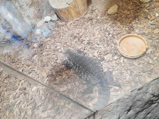 عکس غار آکواریوم گنجنامه