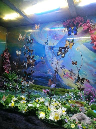 عکس غار آکواریوم گنجنامه