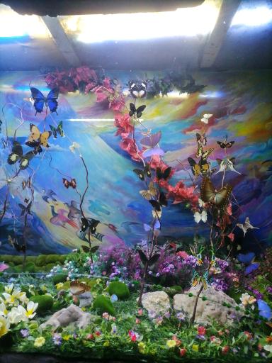 عکس غار آکواریوم گنجنامه