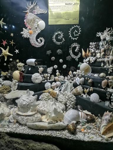 عکس غار آکواریوم گنجنامه